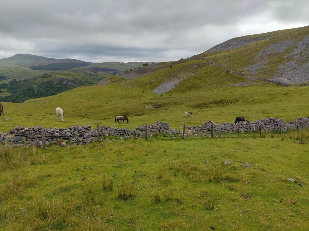 Pentre Cottage Near Craig Y Nos Pen-y-cae  Екстериор снимка